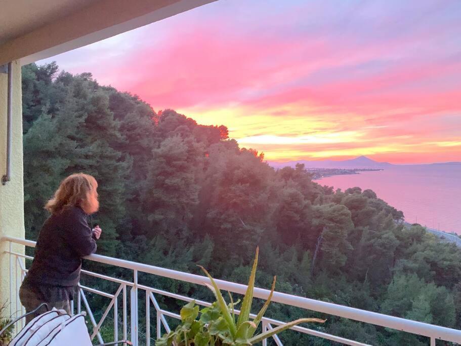 Markopoulon OropouAmfiteatrico Sea View - Kalamos Attiki公寓 外观 照片