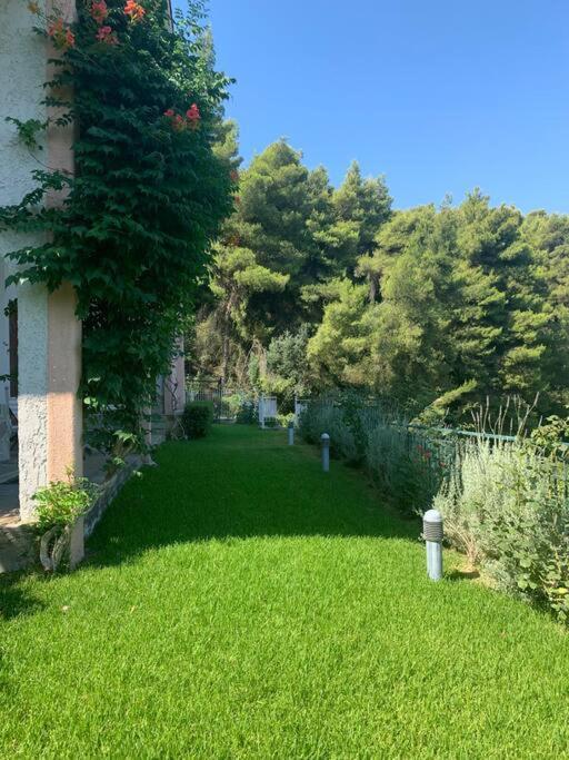 Markopoulon OropouAmfiteatrico Sea View - Kalamos Attiki公寓 外观 照片